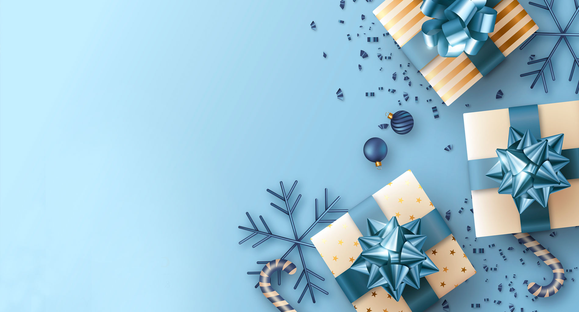 Cambiar bañera por ducha Bilbao Vizcaya Navidad